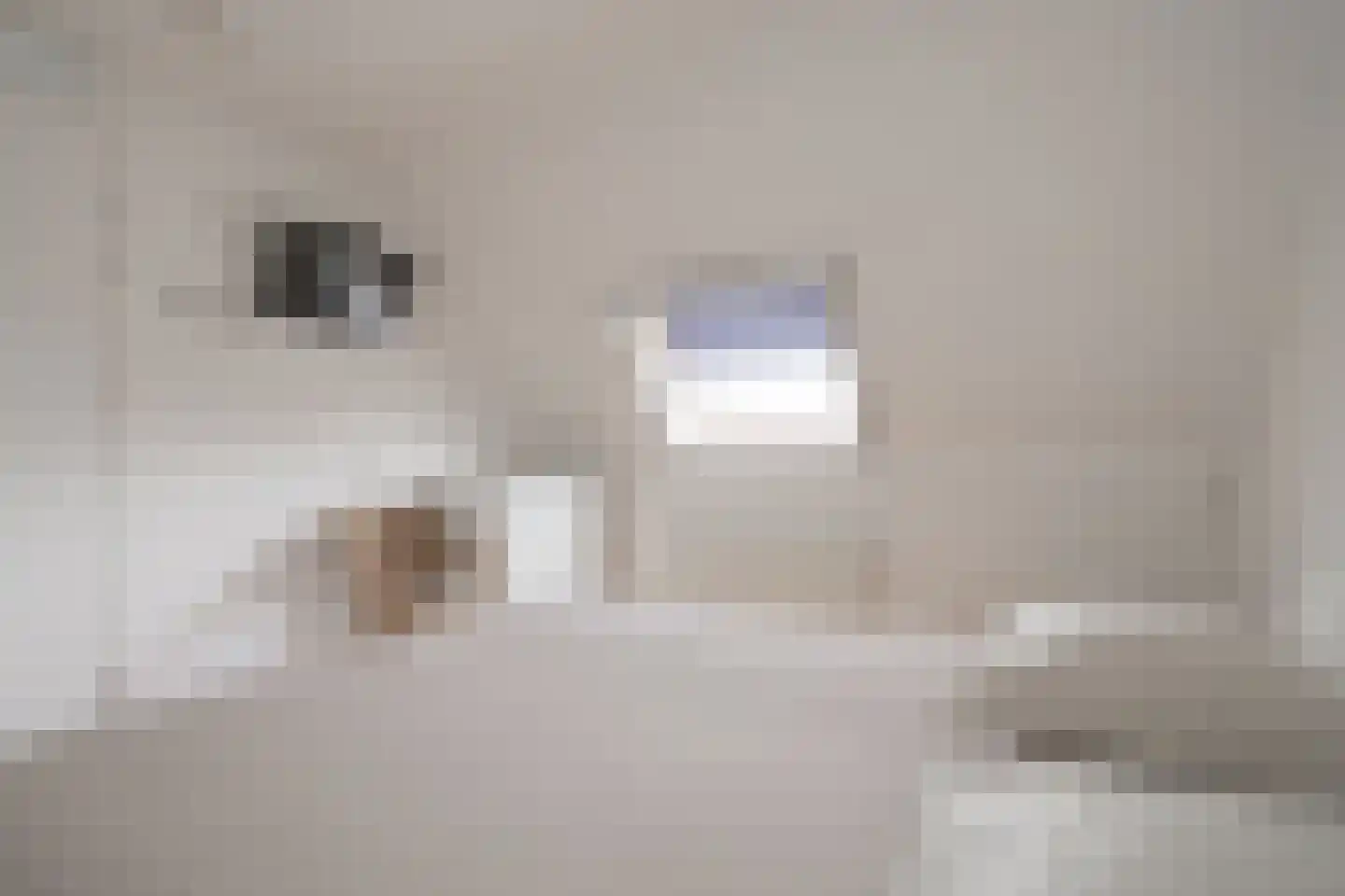Vlaanderen 13 Doetinchem thumbnail 20