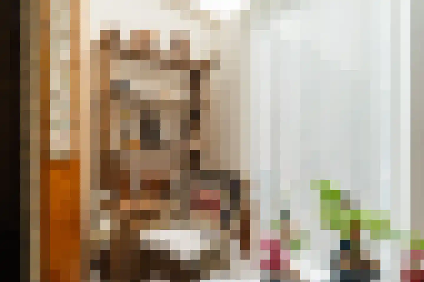 Vlaanderenhof 5 Dongen thumbnail 14