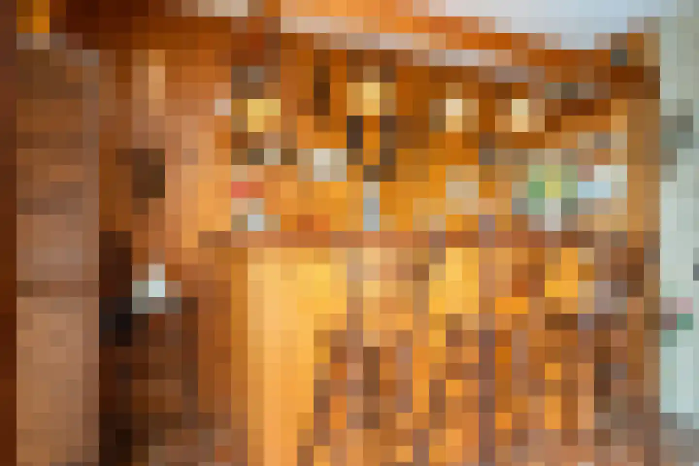 Vlaanderenhof 5 Dongen thumbnail 15