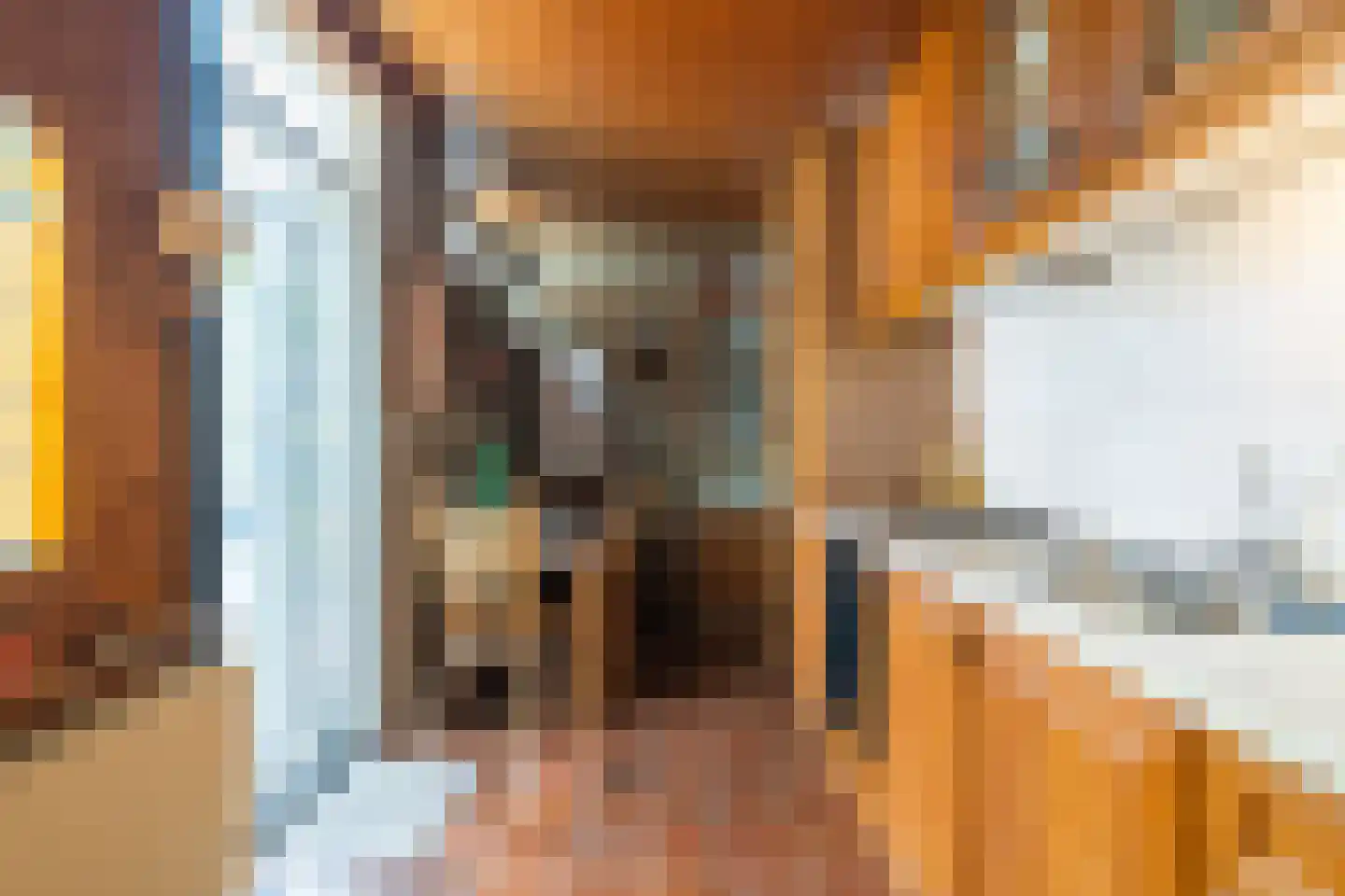 Vlaanderenhof 5 Dongen thumbnail 17