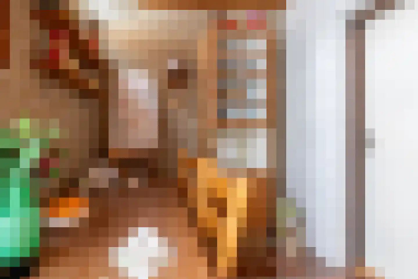 Vlaanderenhof 5 Dongen thumbnail 22