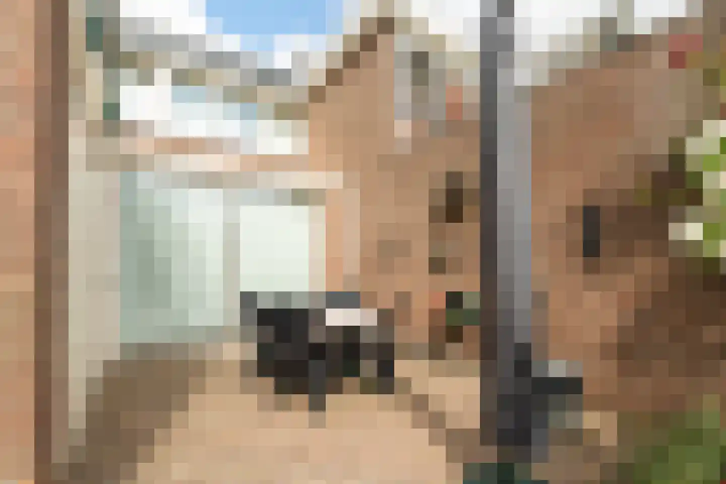 Vlaanderenhof 5 Dongen thumbnail 36