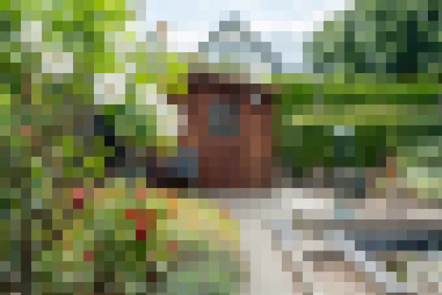 Vlaanderenhof 5 Dongen thumbnail 37