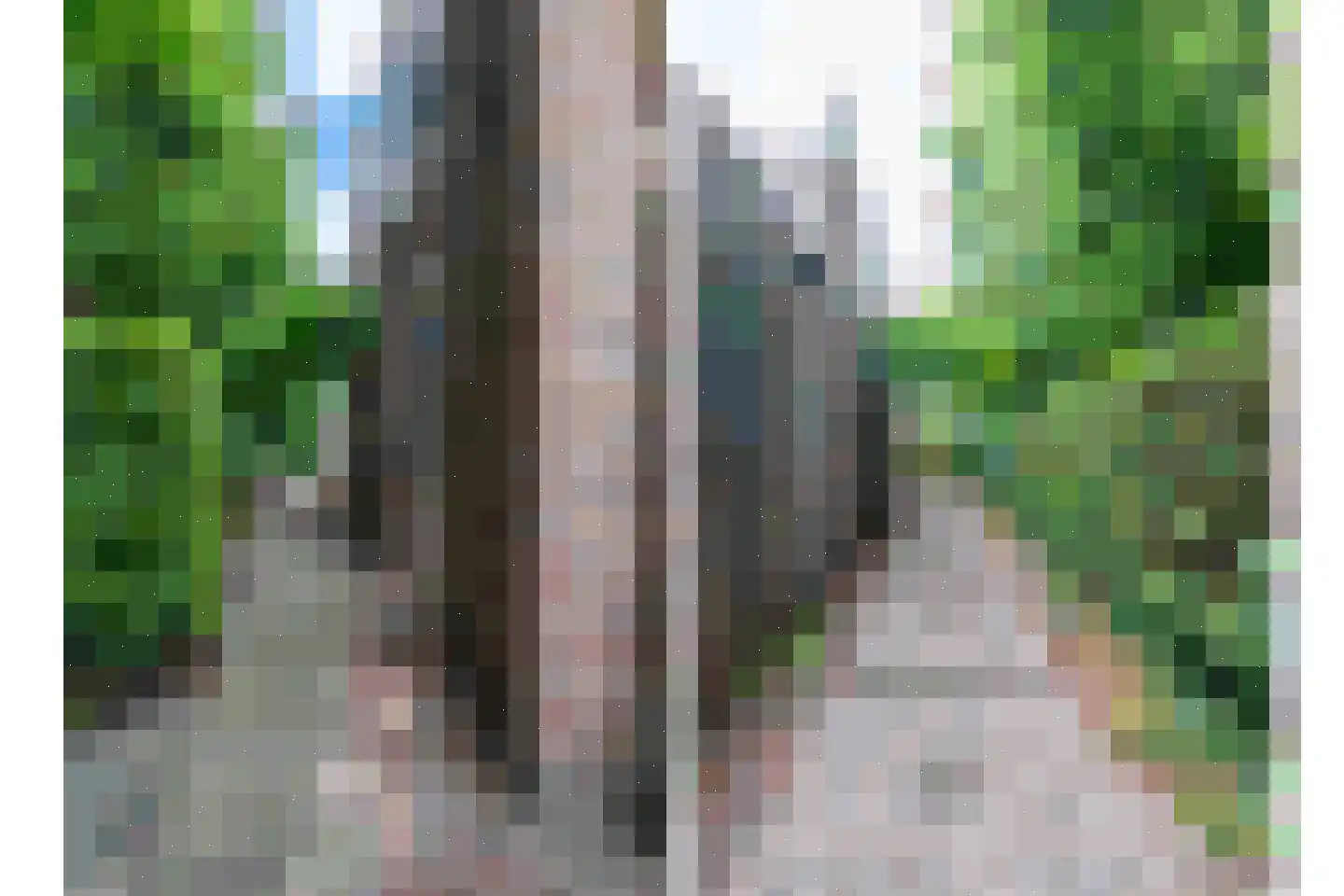 Vlaanderenhof 5 Dongen thumbnail 38