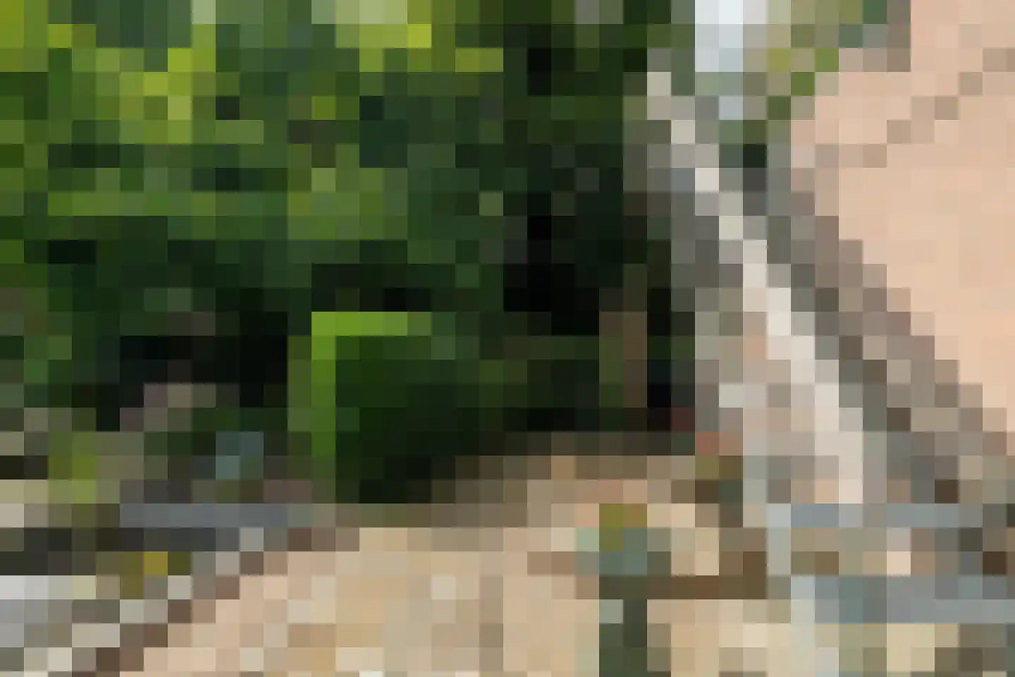 Vlaanderenhof 5 Dongen thumbnail 42