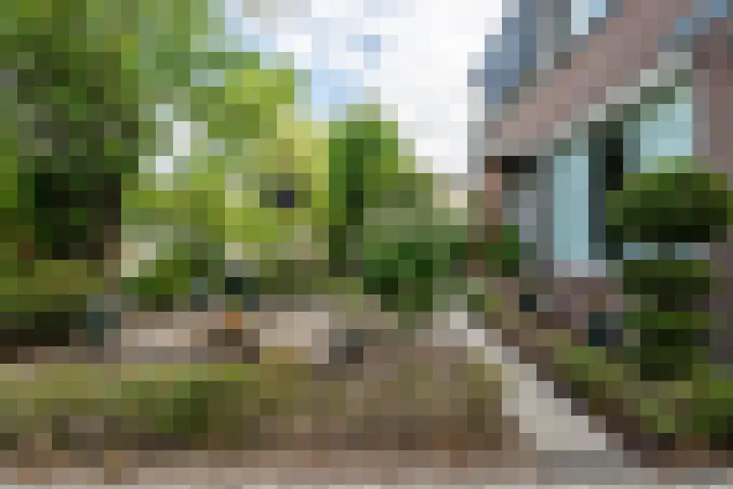 Vlaanderenhof 5 Dongen thumbnail 46