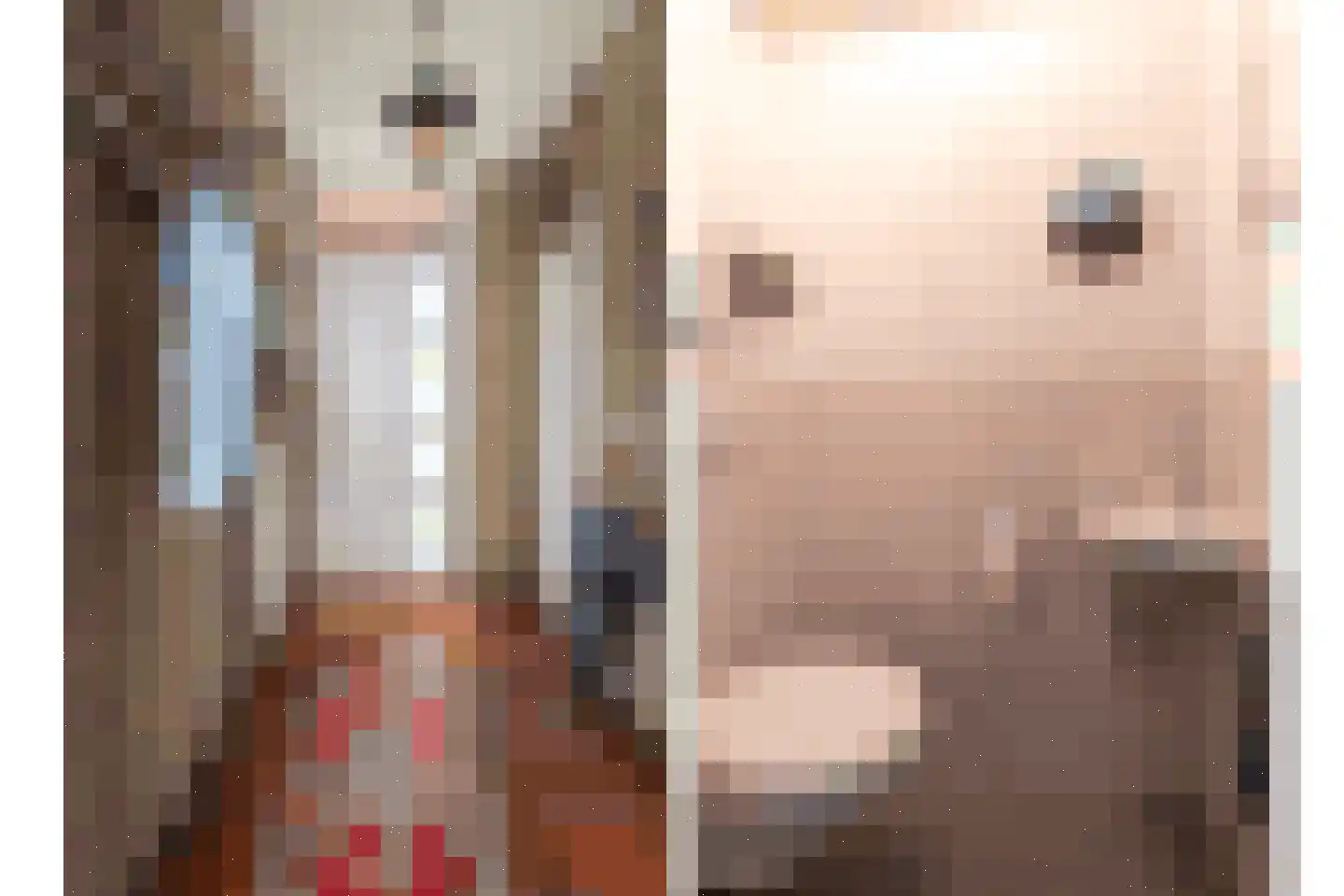 Vlaanderenhof 5 Dongen thumbnail 5