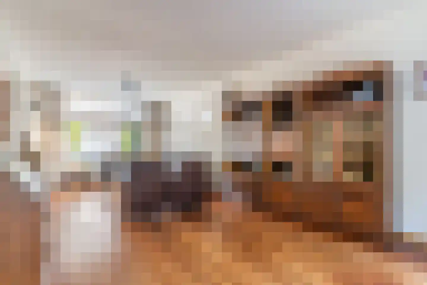 Vlaanderenlaan 31 Nunspeet thumbnail 15