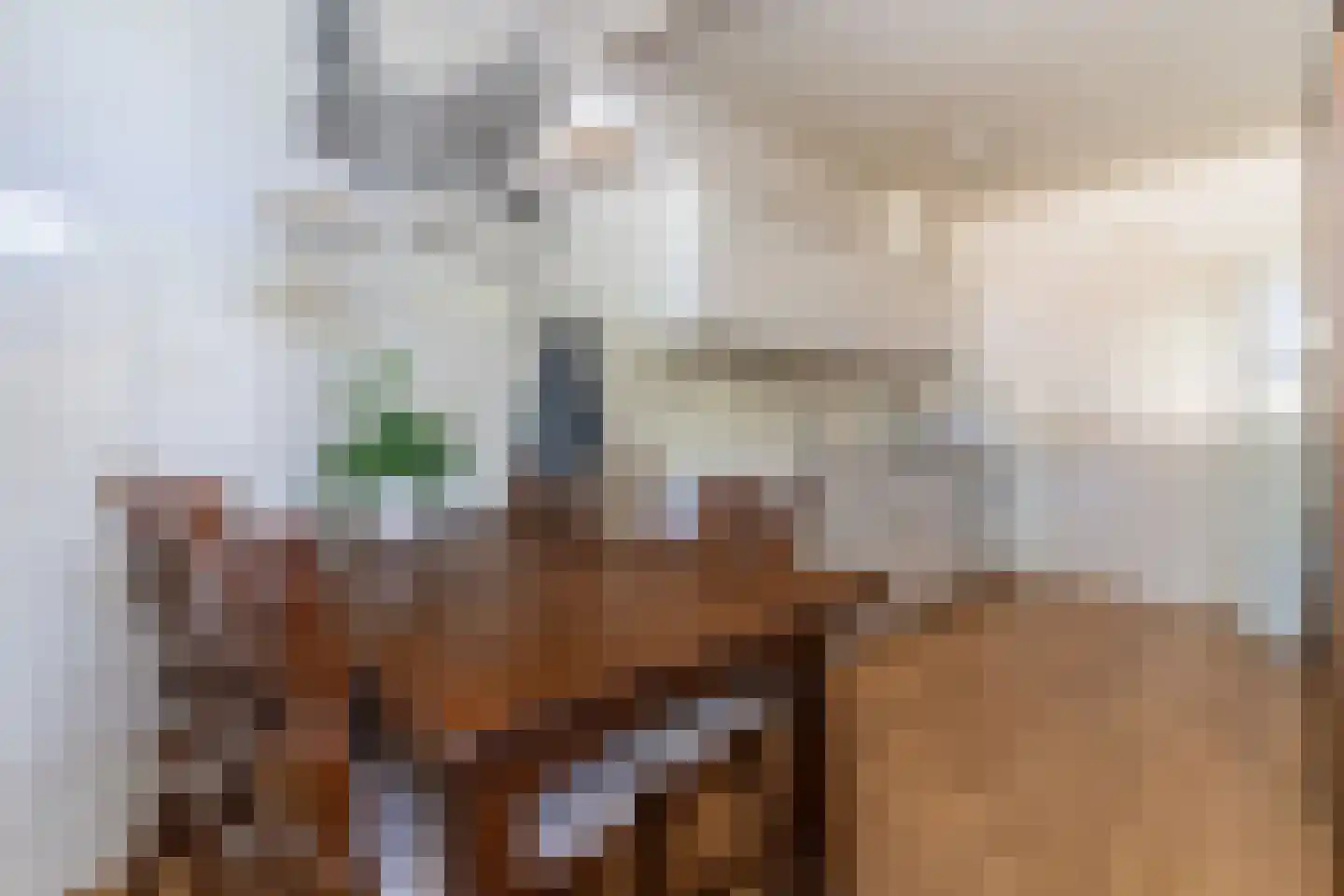 Vlaanderenlaan 31 Nunspeet thumbnail 19