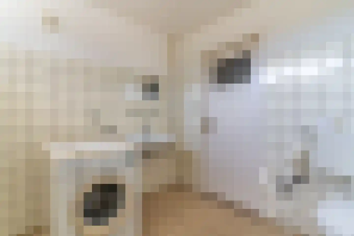 Vlaanderenlaan 31 Nunspeet thumbnail 24