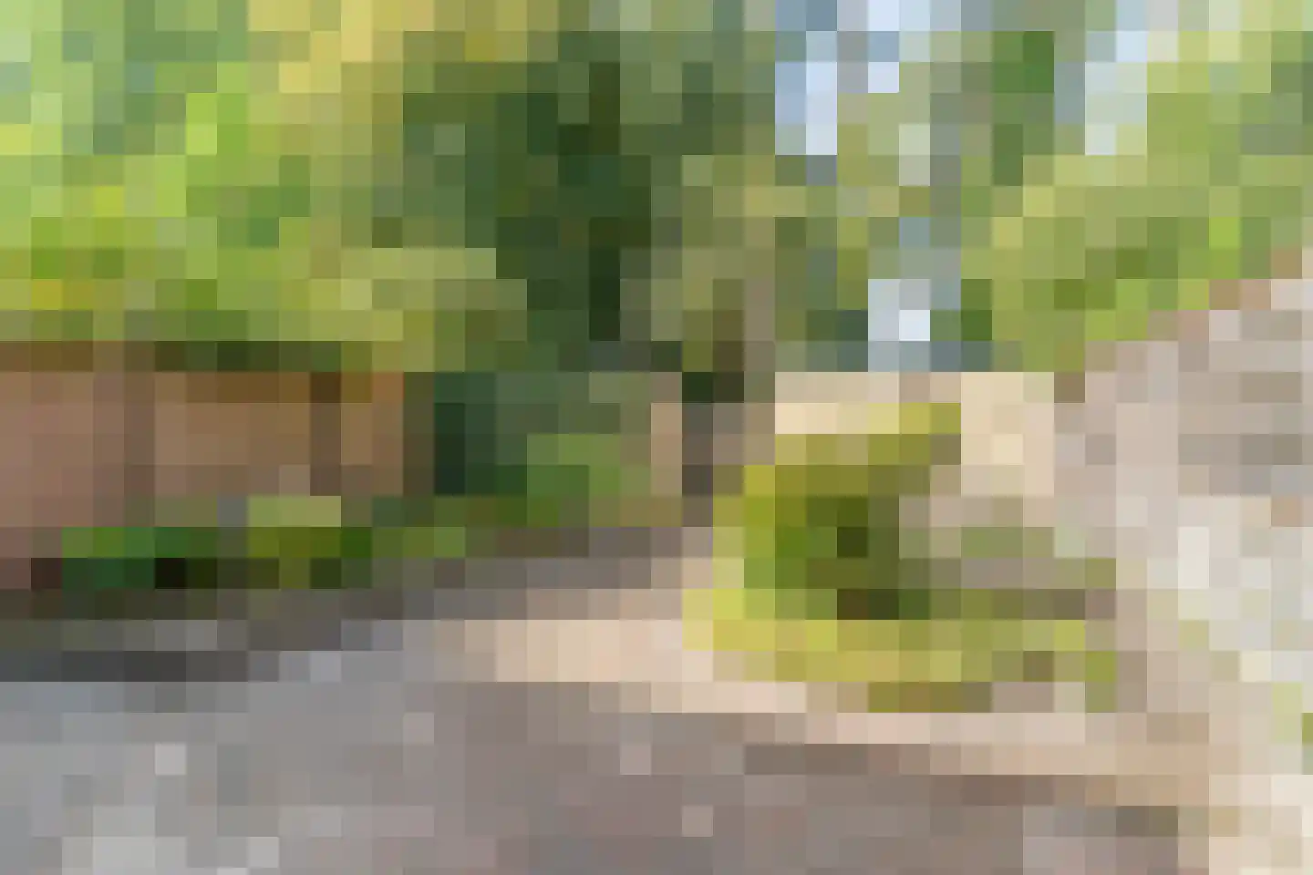 Vlaanderenlaan 31 Nunspeet thumbnail 32