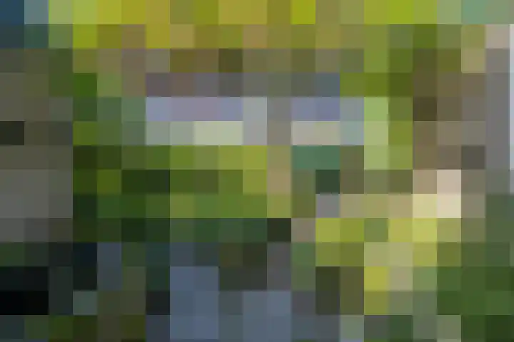 Vlaanderenstraat 12 Waalwijk thumbnail 30