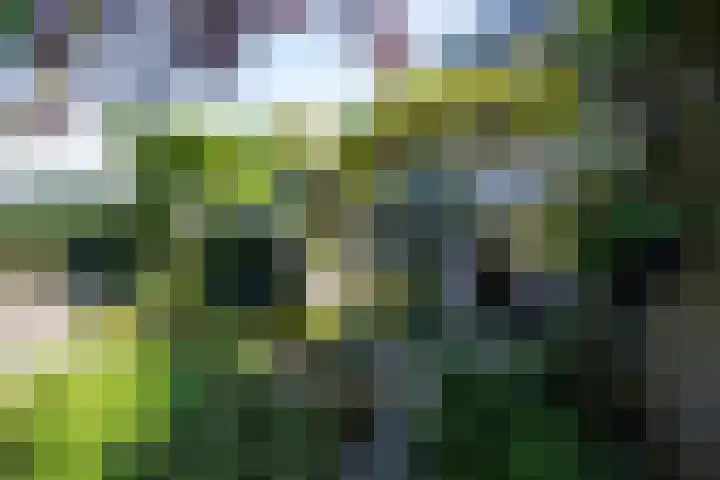 Vlaanderenstraat 12 Waalwijk thumbnail 32