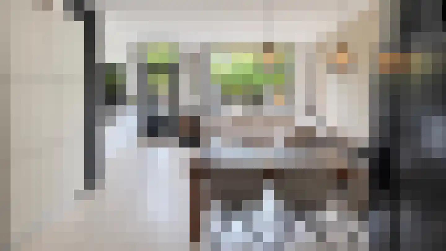 Vlaanderenstraat 29 Alkmaar thumbnail 11