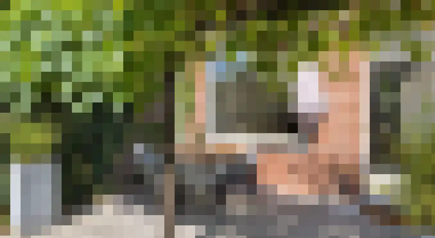 Vlaanderenstraat 29 Alkmaar thumbnail 31