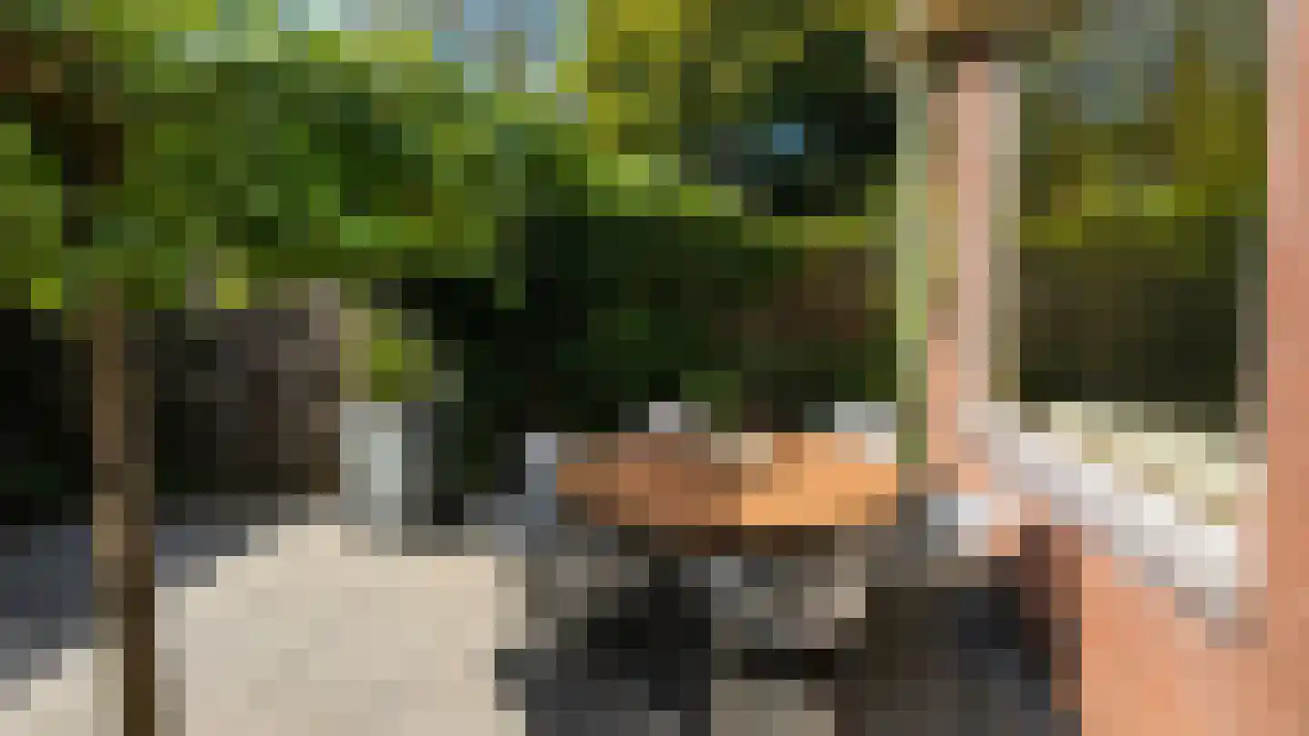 Vlaanderenstraat 29 Alkmaar thumbnail 32