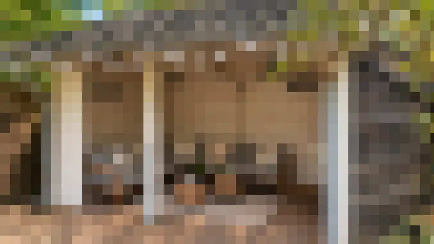 Vlaanderenstraat 29 Alkmaar thumbnail 34