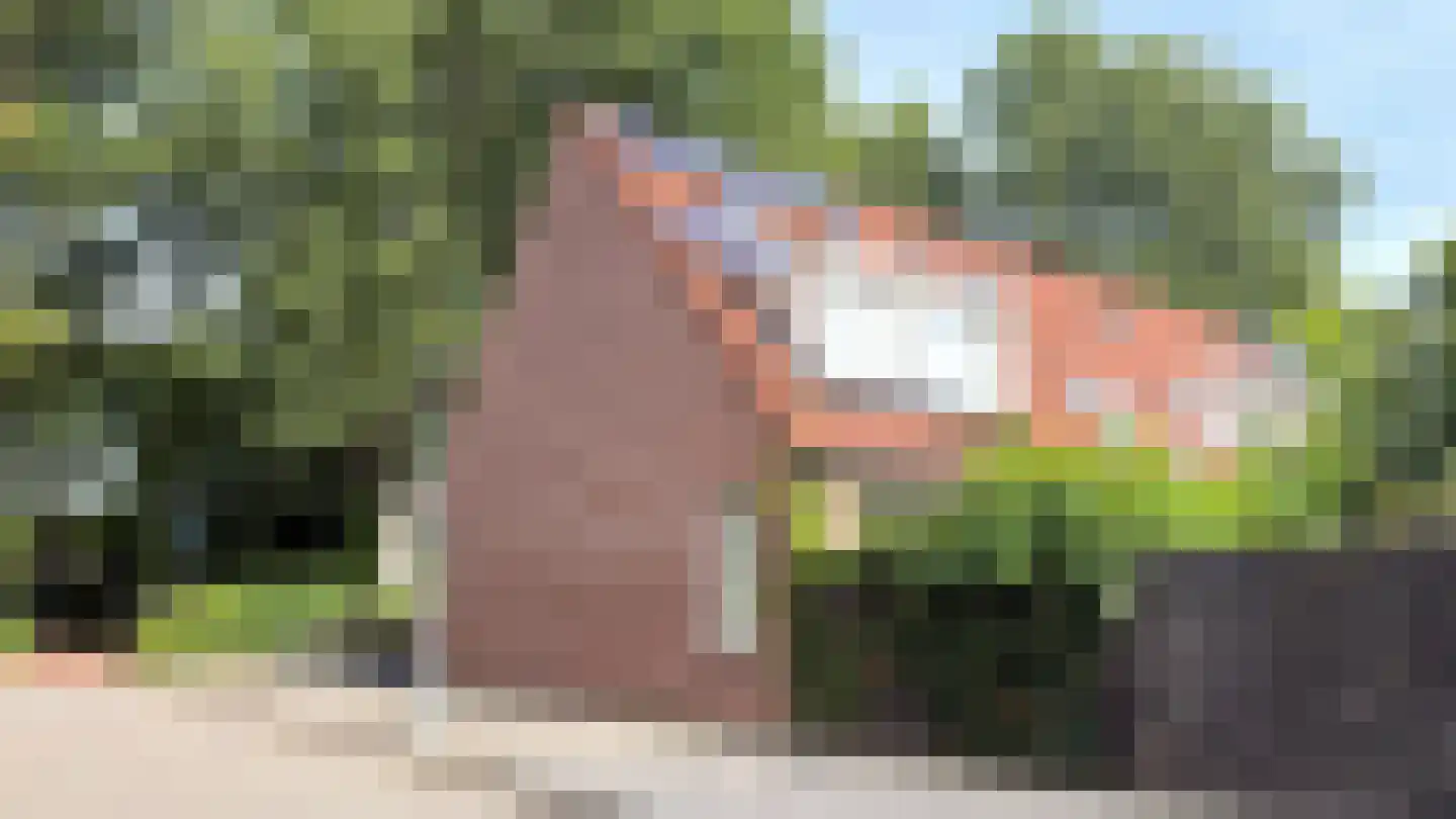 Vlaanderenstraat 29 Alkmaar thumbnail 35