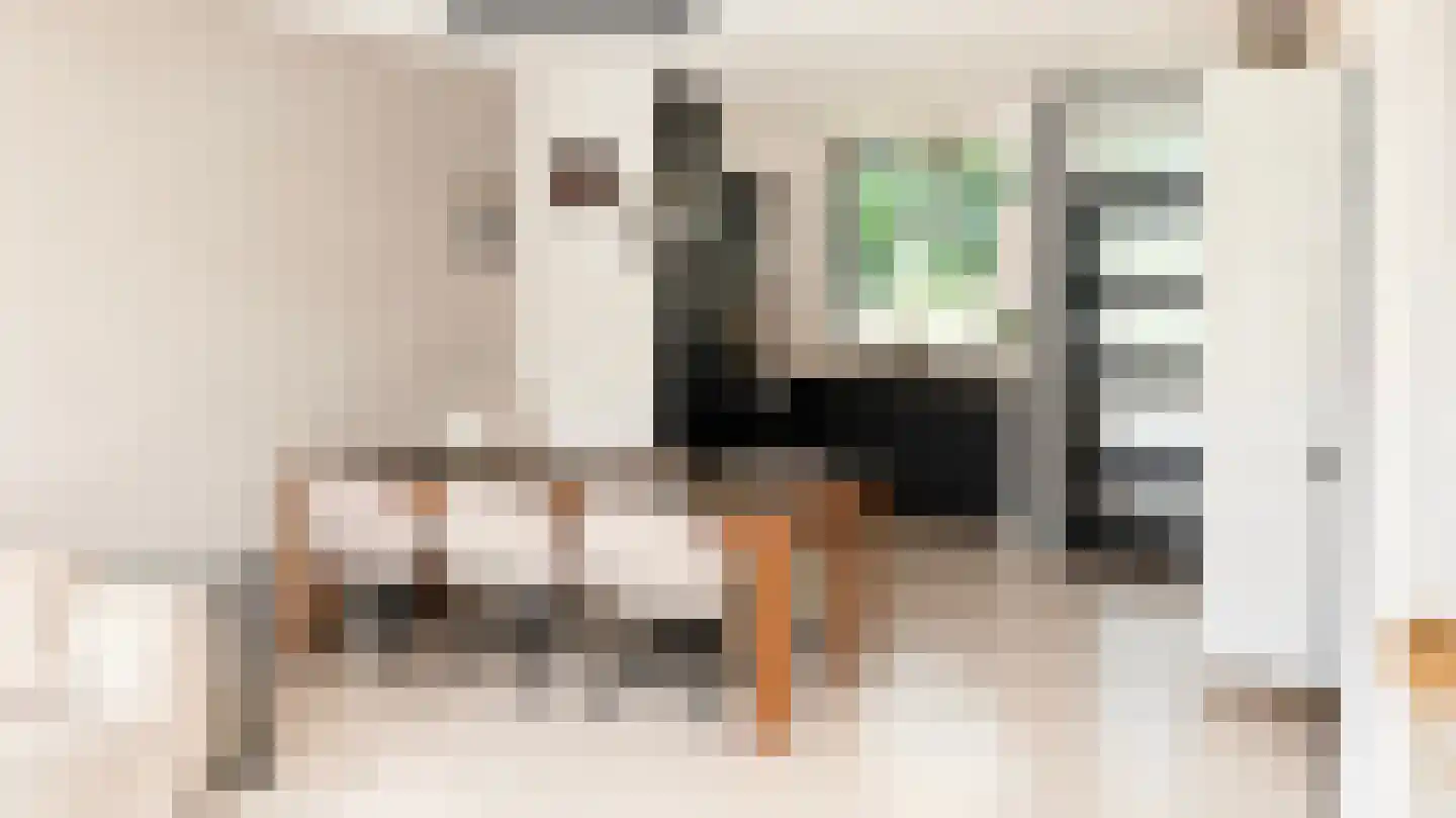 Vlaanderenstraat 29 Alkmaar thumbnail 4