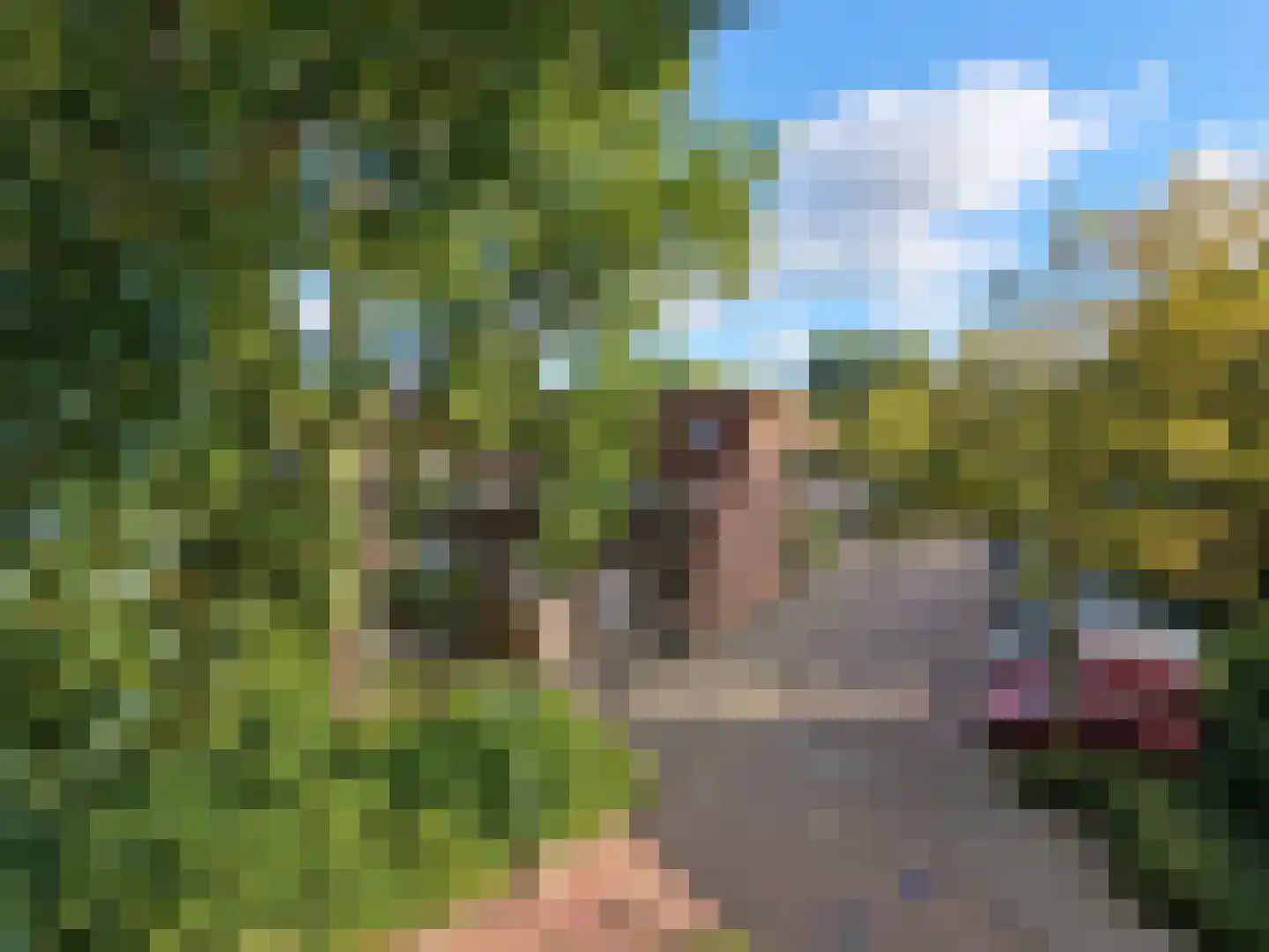 Vlaanderenstraat 29 Alkmaar thumbnail 41