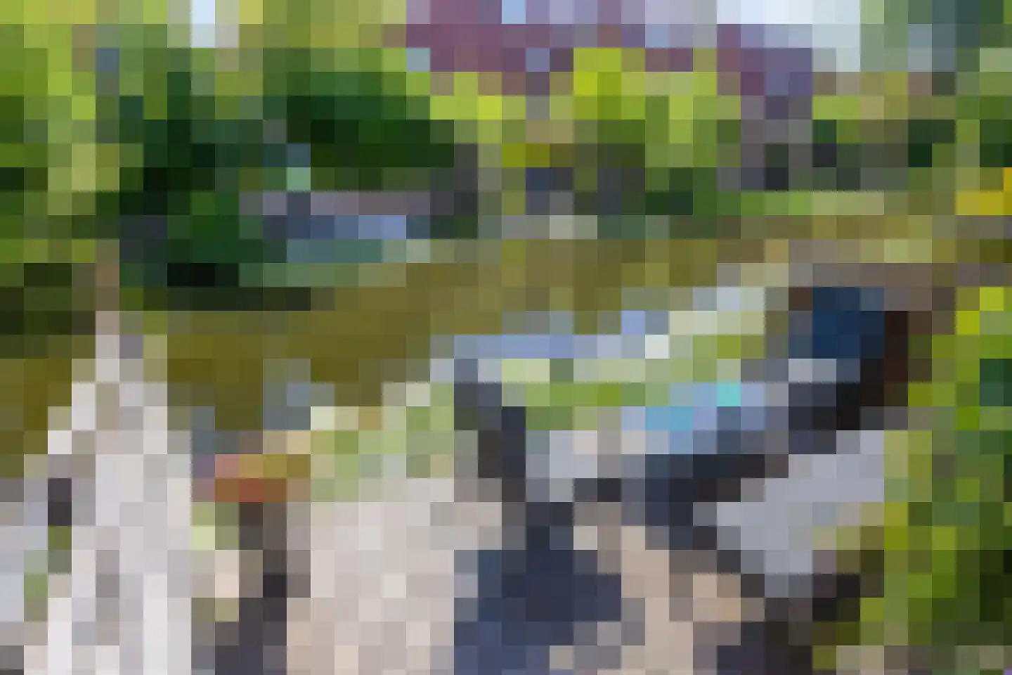 Vlaanderenstraat 47 Alkmaar thumbnail 19