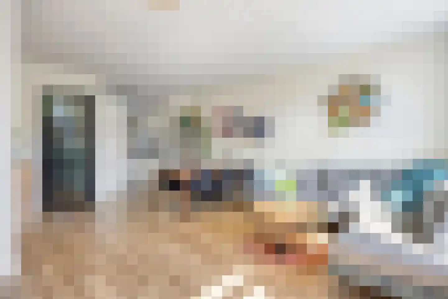 Vlaanderenstraat 47 Alkmaar thumbnail 4