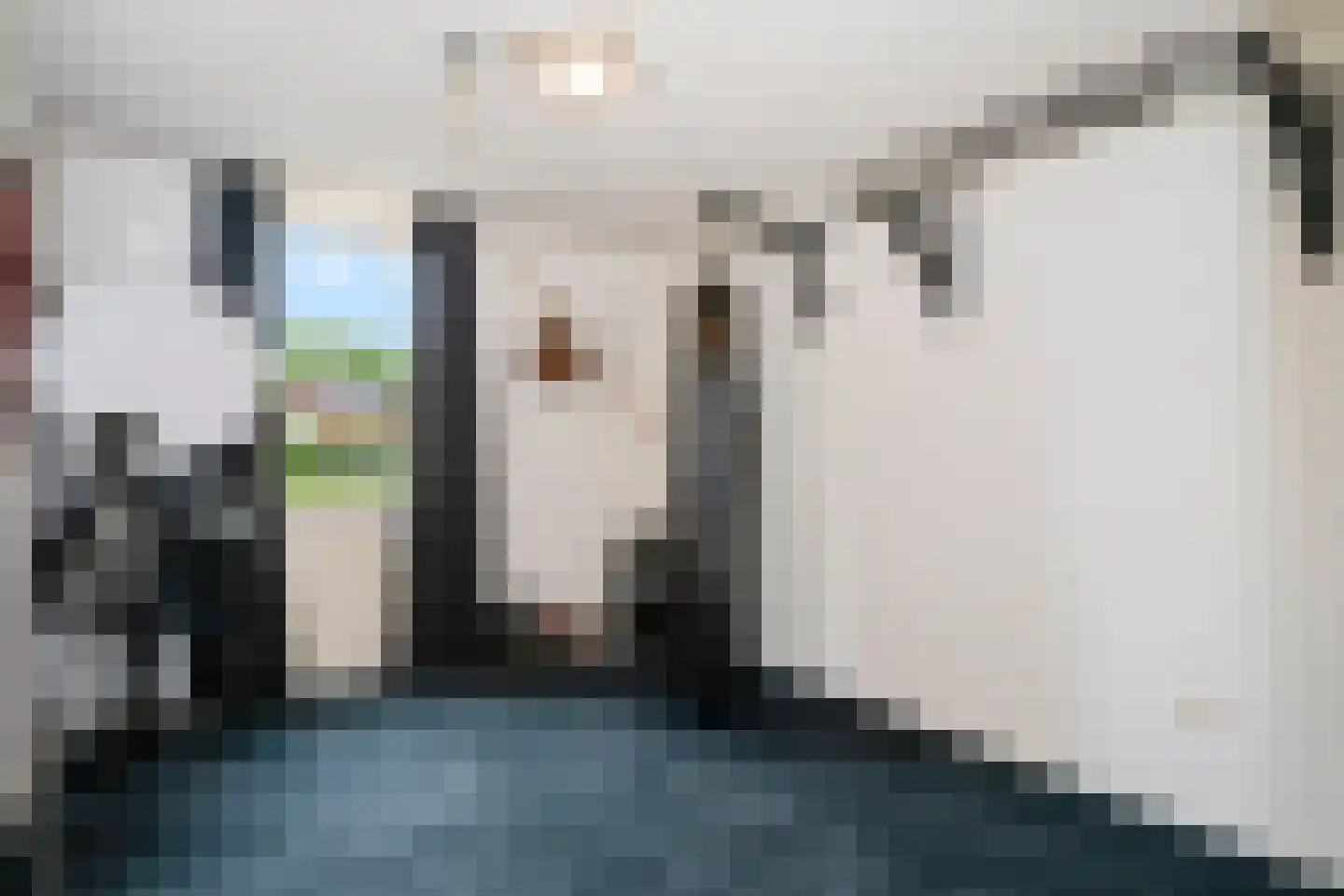 Vlaanderenstraat 48 Sittard thumbnail 33