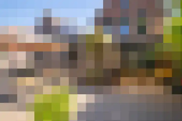 Vlaanderenstraat 50 Sittard thumbnail 18