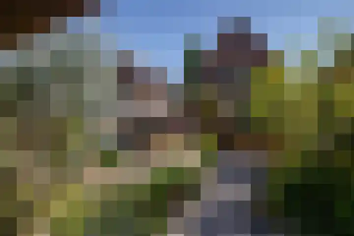 Vlaanderenstraat 50 Sittard thumbnail 21