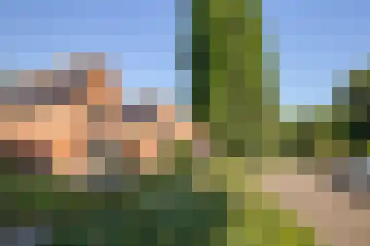 Vlaanderenstraat 50 Sittard thumbnail 22