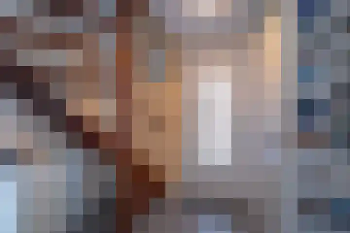 Vlaanderenstraat 50 Sittard thumbnail 4