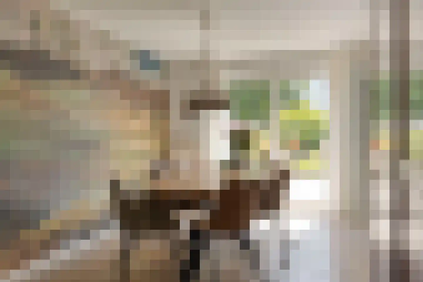 Vlaandershof 12 Erp thumbnail 15