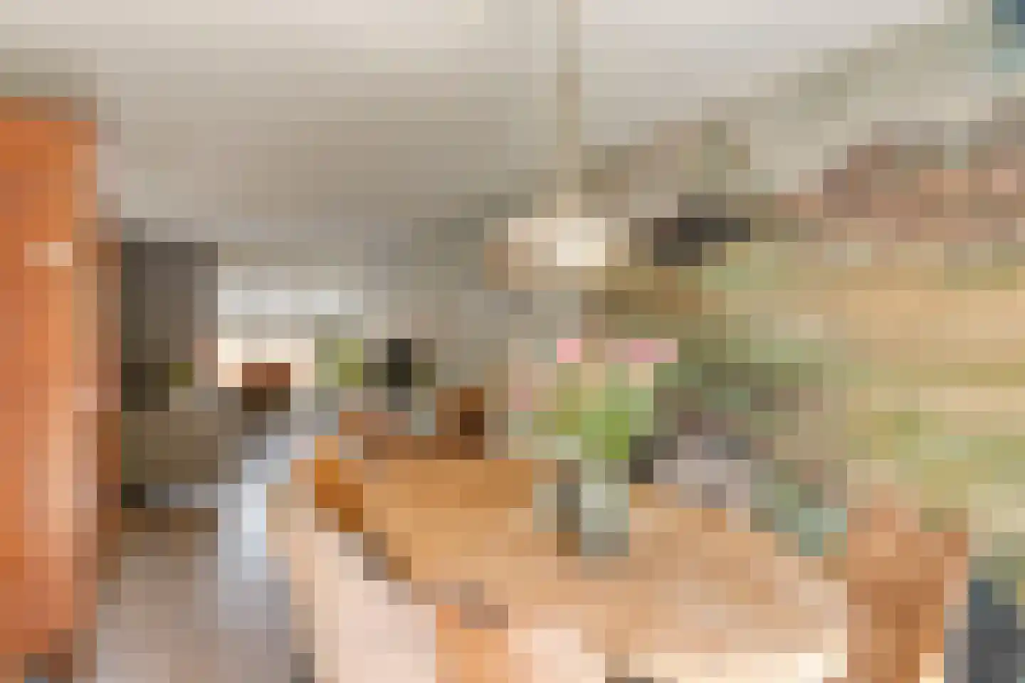 Vlaandershof 12 Erp thumbnail 16