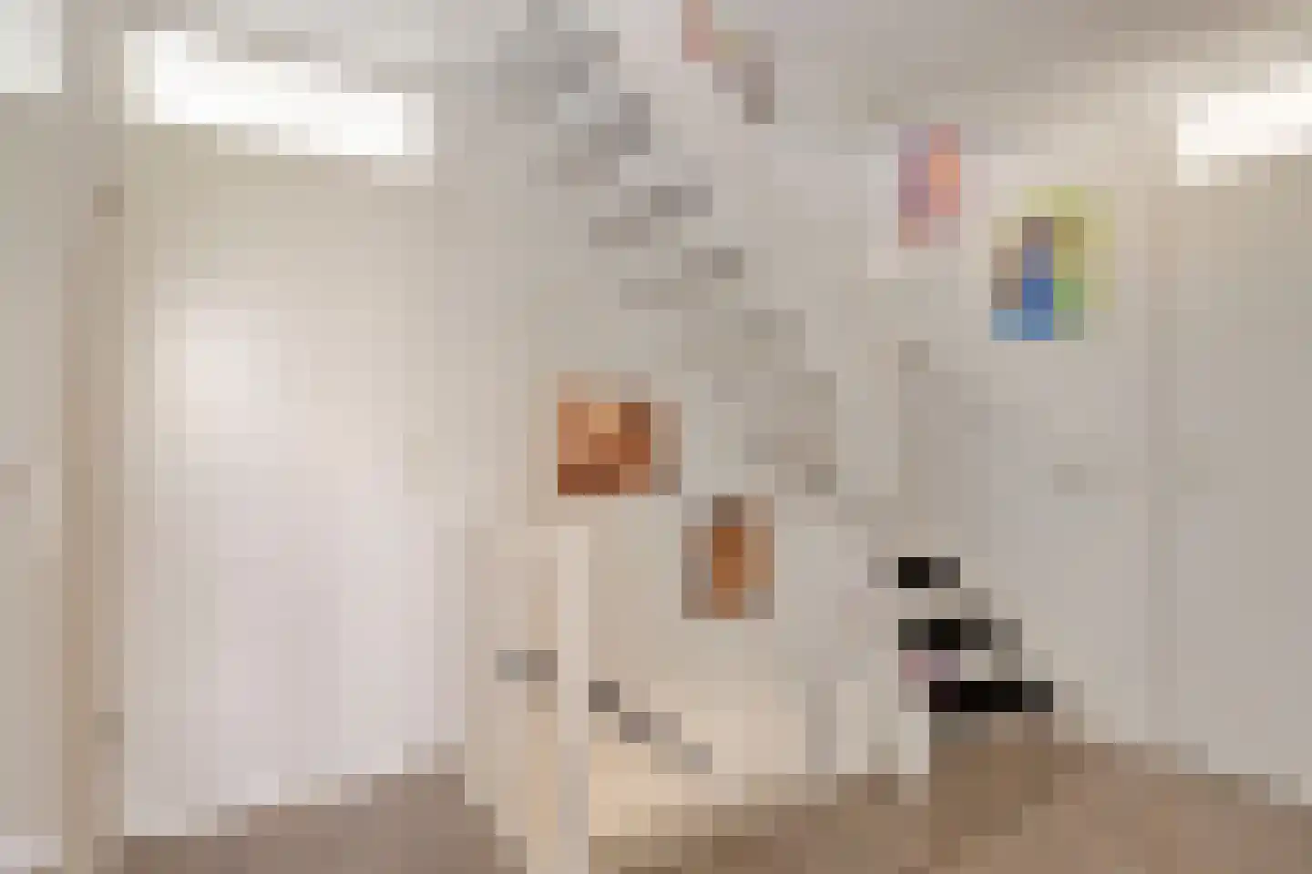 Vlaandershof 12 Erp thumbnail 22