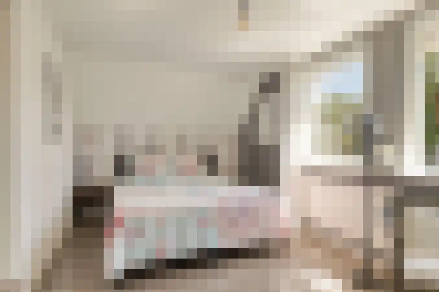 Vlaandershof 12 Erp thumbnail 23