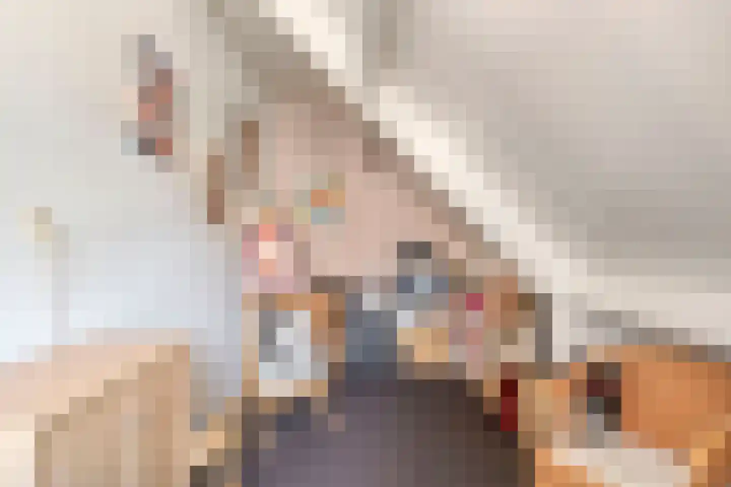 Vlaandershof 12 Erp thumbnail 28
