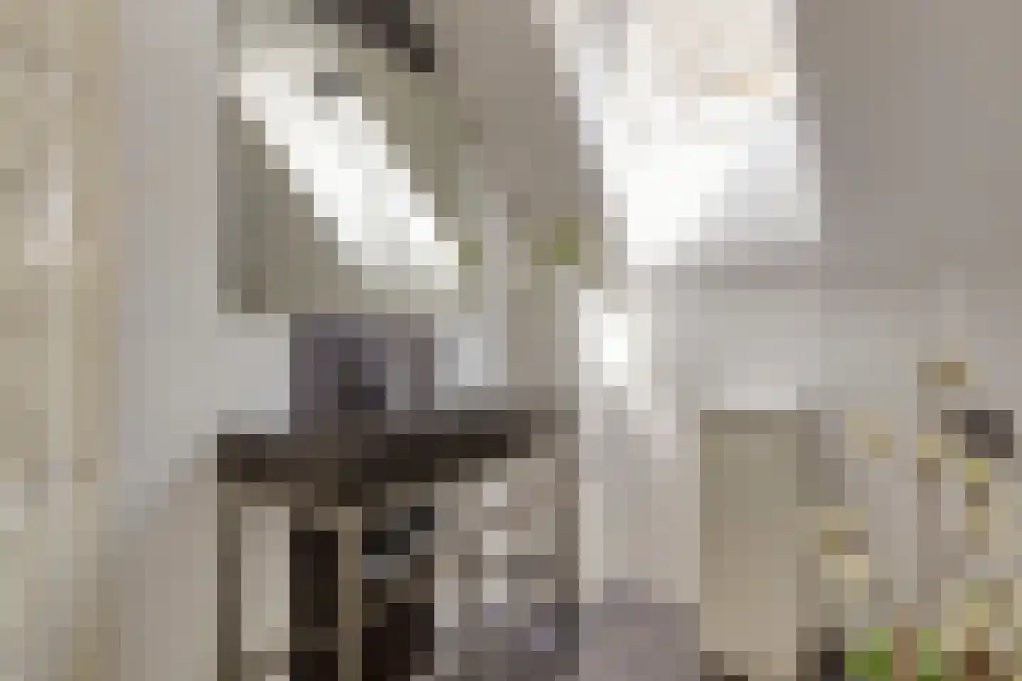 Vlaandershof 12 Erp thumbnail 30