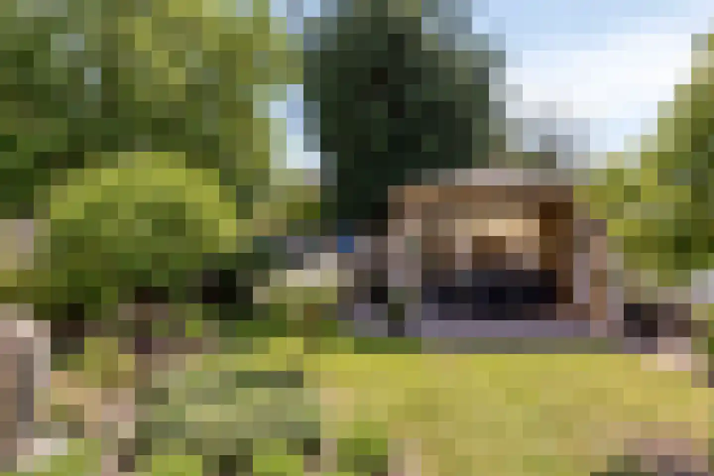 Vlaandershof 12 Erp thumbnail 36
