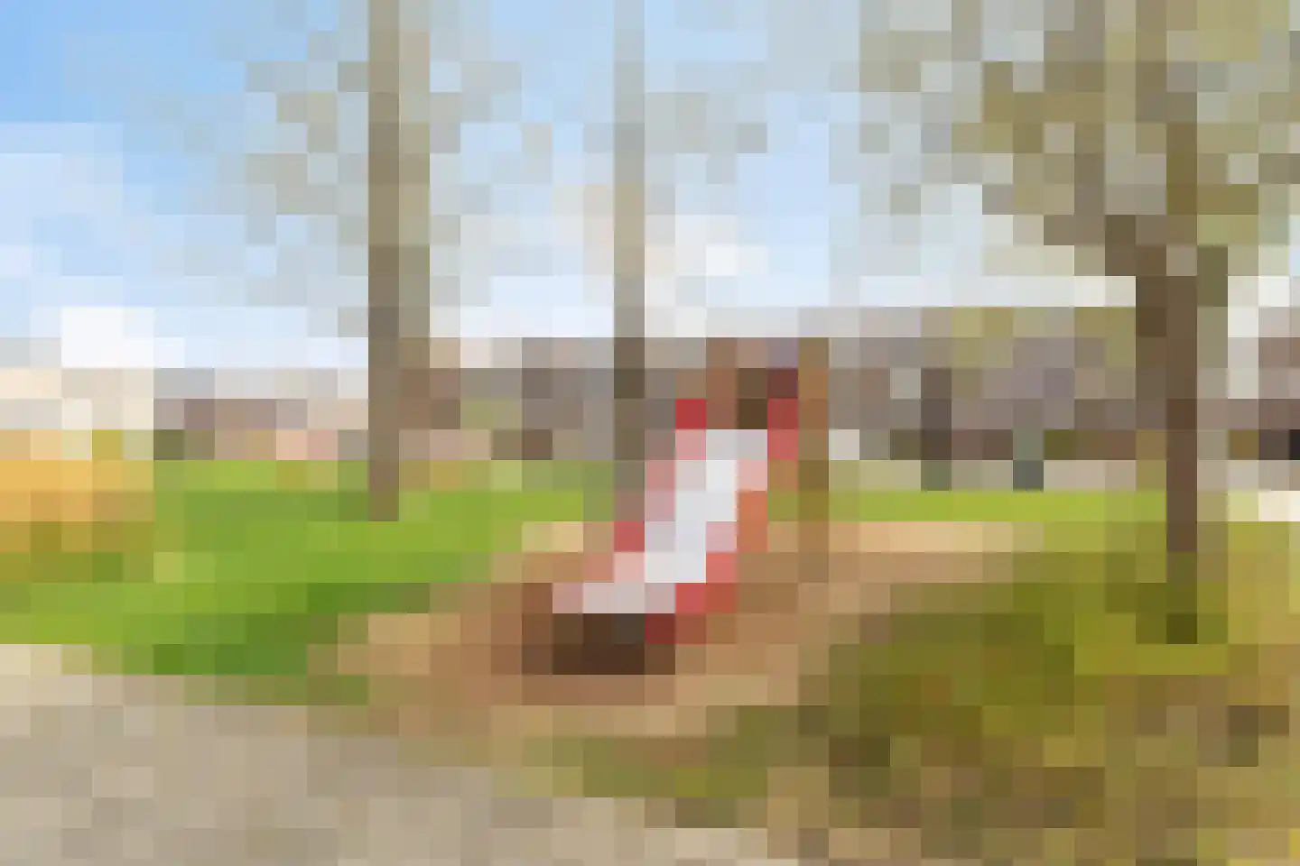 Vlaardingenstraat 50 Almere thumbnail 40