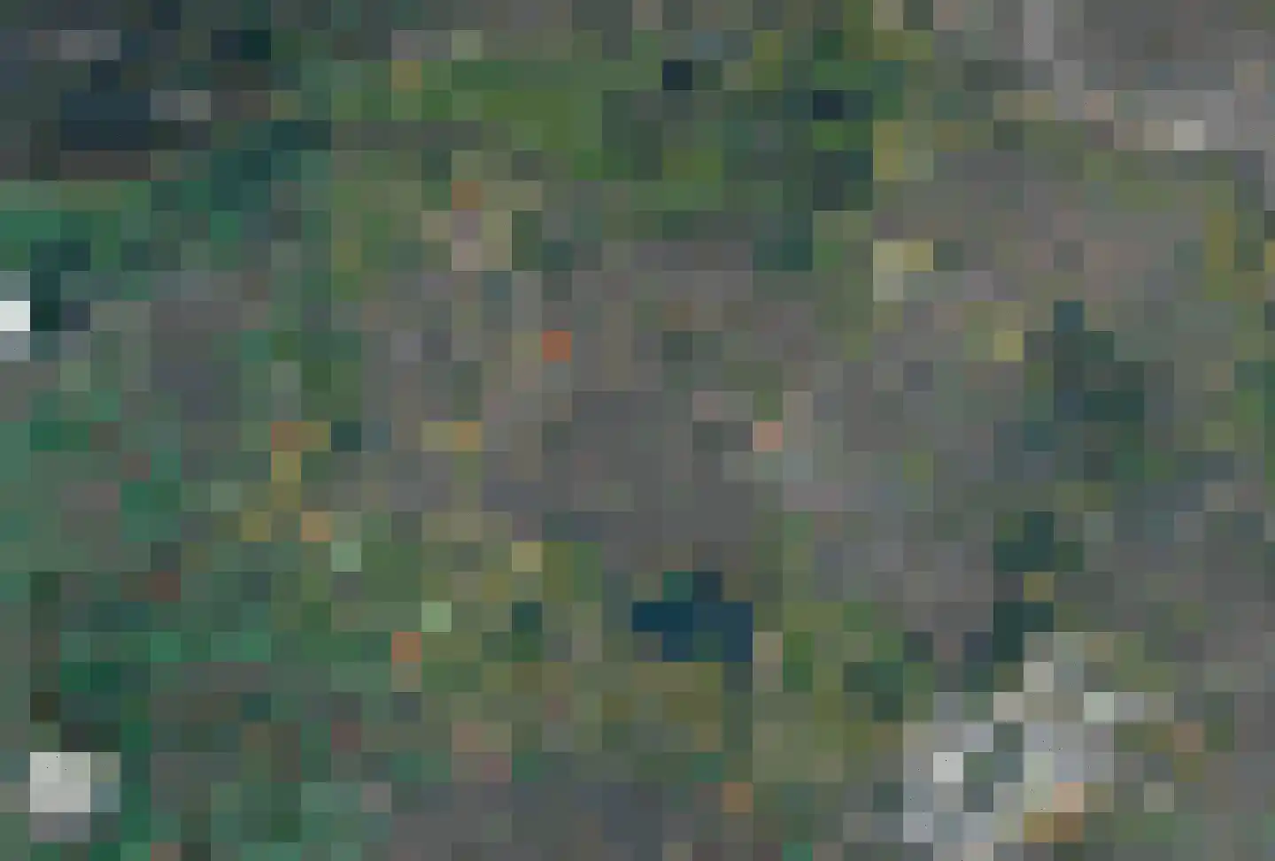 Vlaardingenweg 32 D Arnhem thumbnail 8