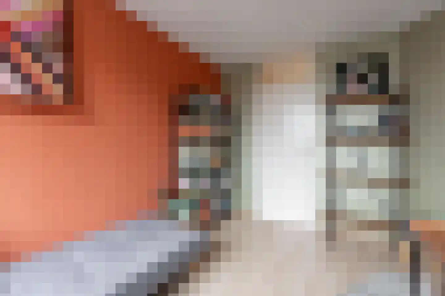 Vlaardingenweg 36 Arnhem thumbnail 15
