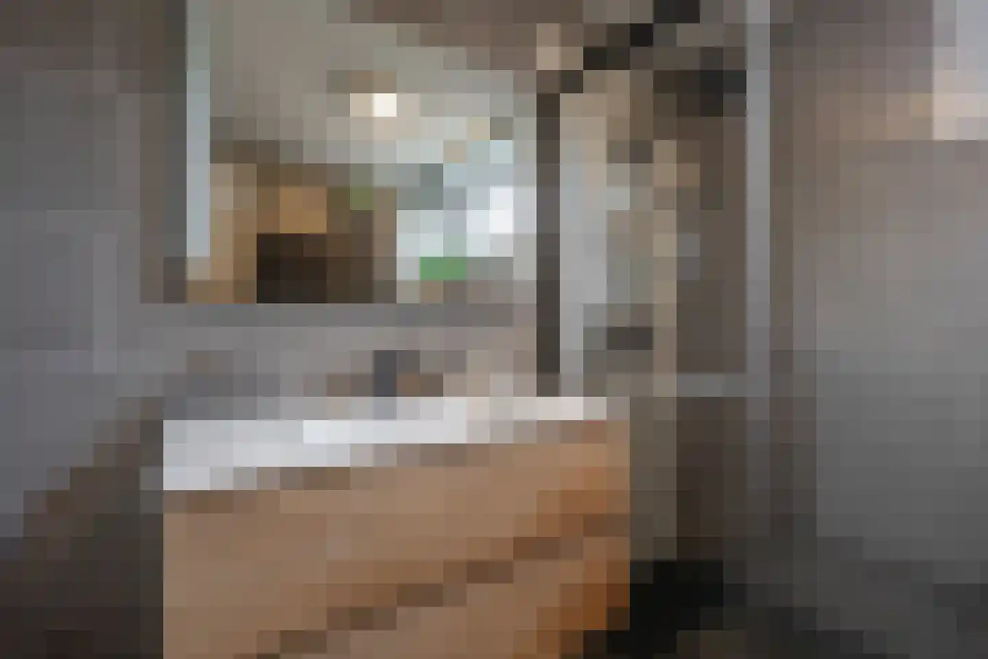 Vlaardingenweg 36 Arnhem thumbnail 19