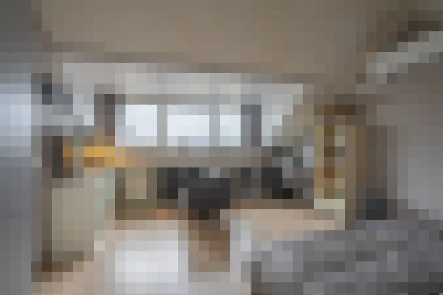 Vlaardingenweg 36 Arnhem thumbnail 26