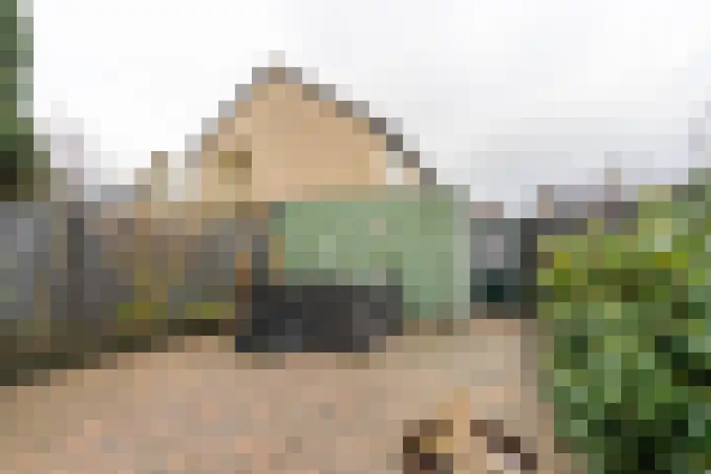 Vlaardingenweg 36 Arnhem thumbnail 27