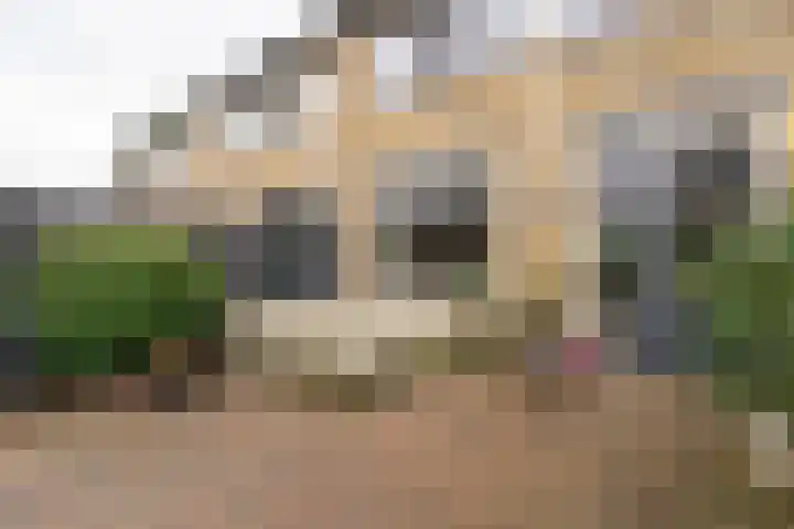 Vlaardingenweg 36 Arnhem thumbnail 29