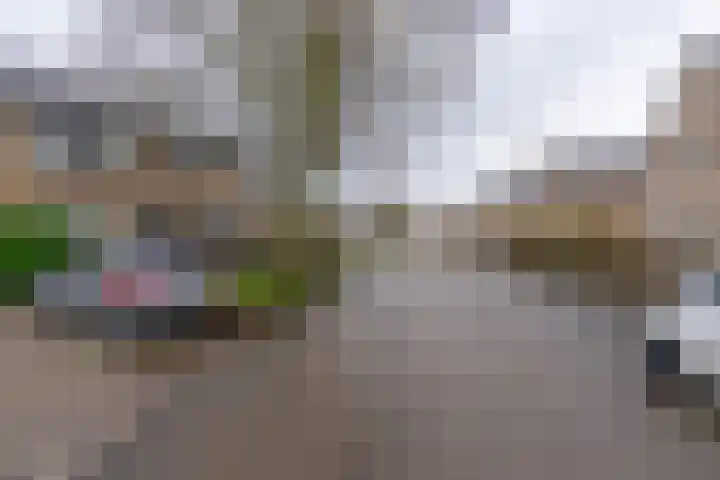 Vlaardingenweg 36 Arnhem thumbnail 32