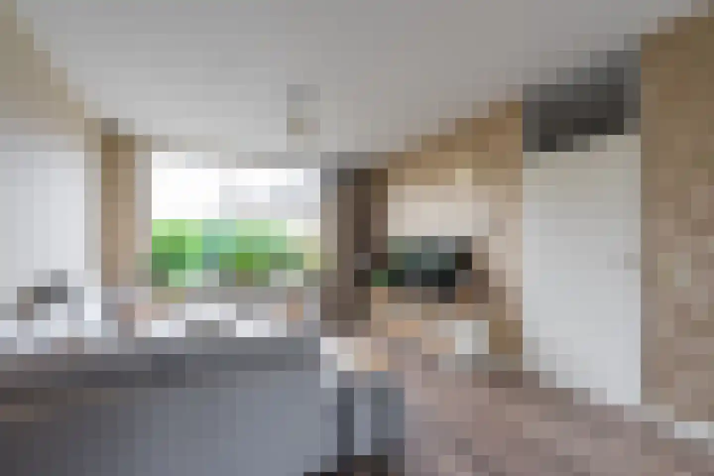 Vlaardingenweg 36 Arnhem thumbnail 8