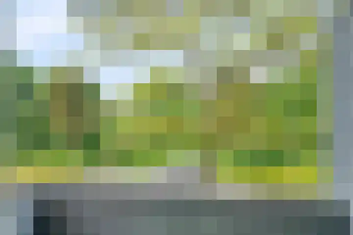 Vlaardingerdijk 123 A Schiedam thumbnail 22