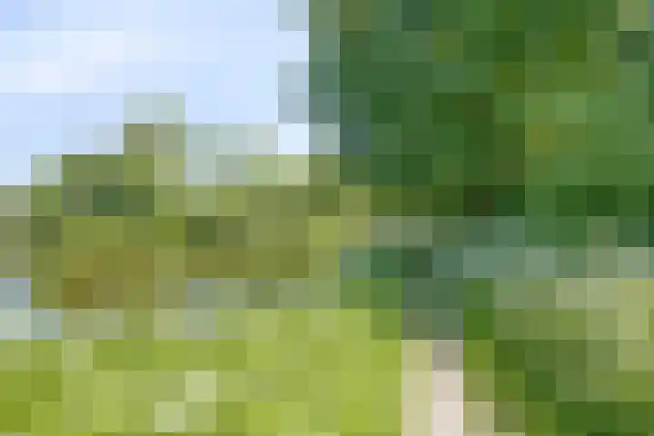 Vlaardingerdijk 123 A Schiedam thumbnail 32