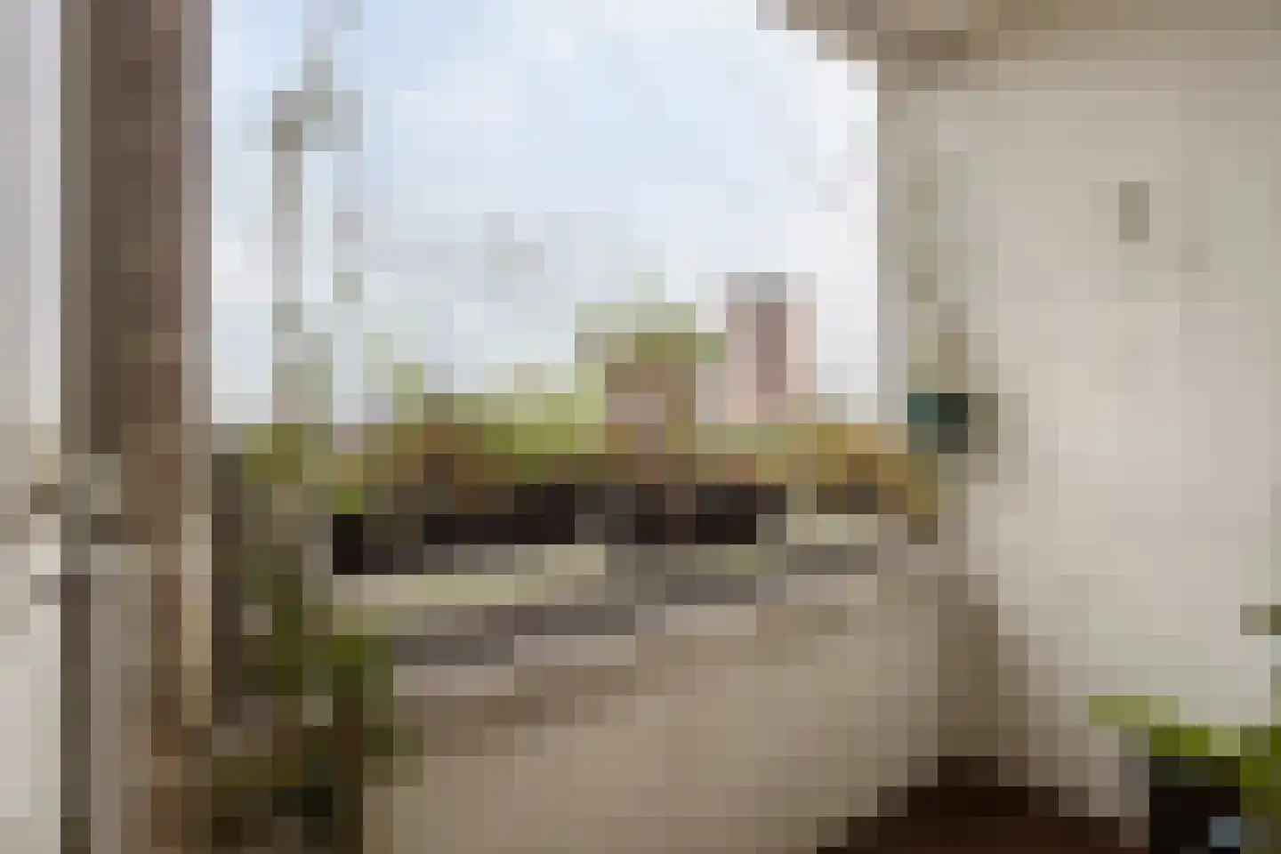 Vlaardingerdijk 148 Schiedam thumbnail 18